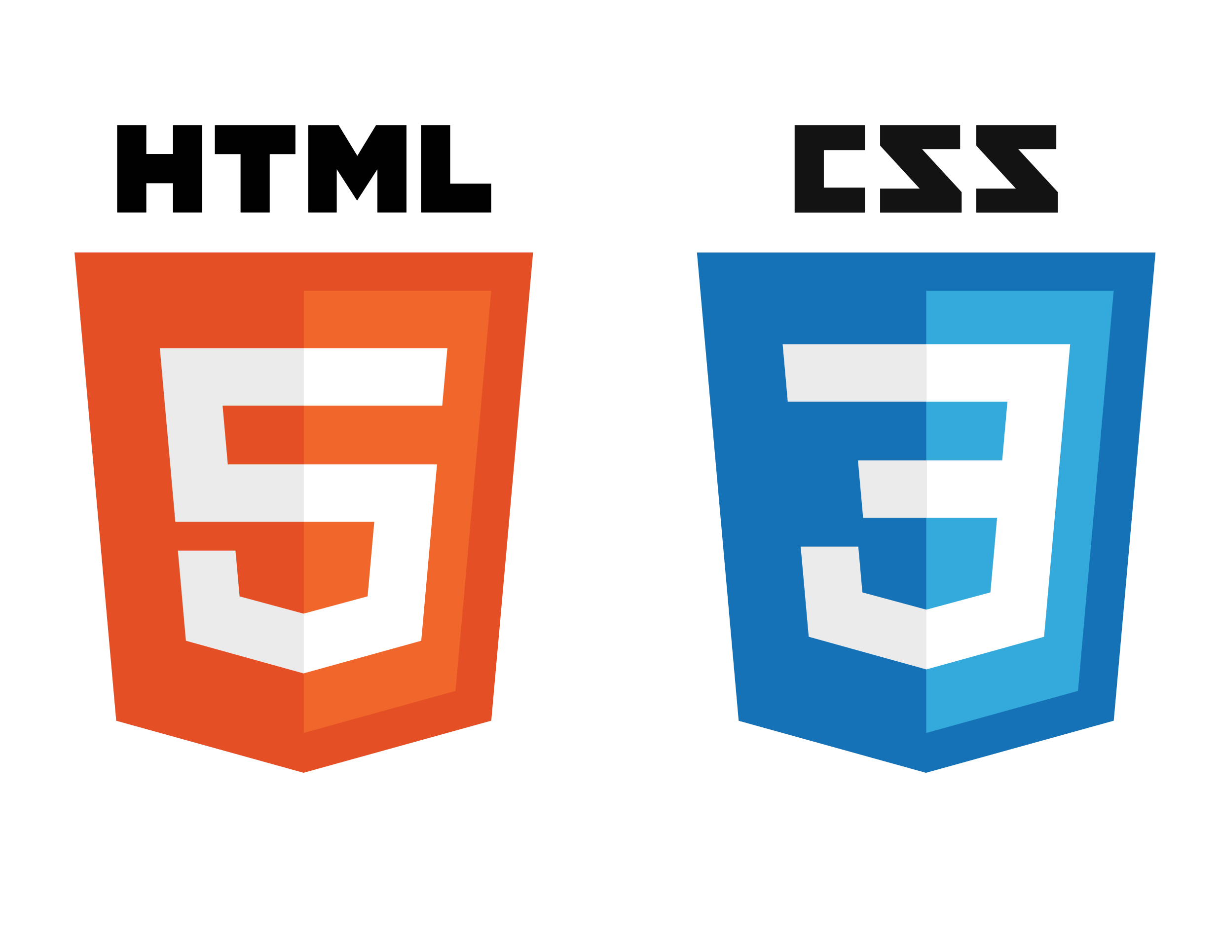 HTML CSS Developer